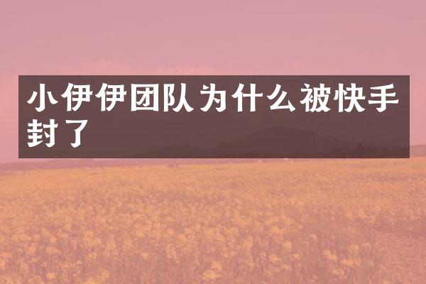 小伊伊团队为什么被快手封了