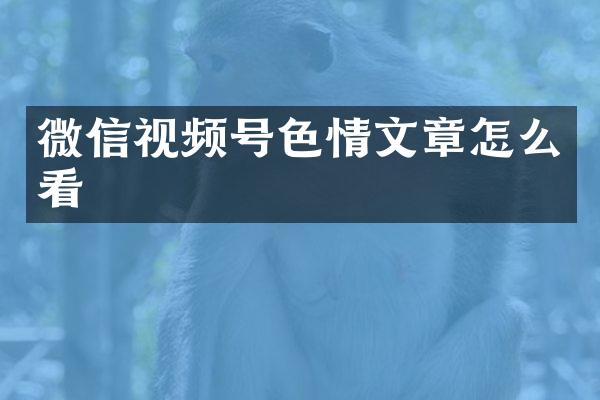 微信视频号文章怎么看