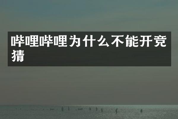 哔哩哔哩为什么不能开竞猜