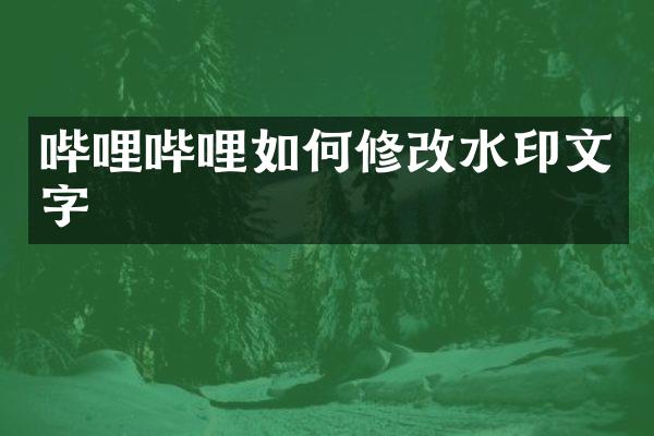 哔哩哔哩如何修改水印文字