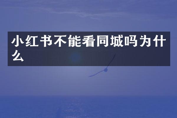 小红书不能看同城吗为什么