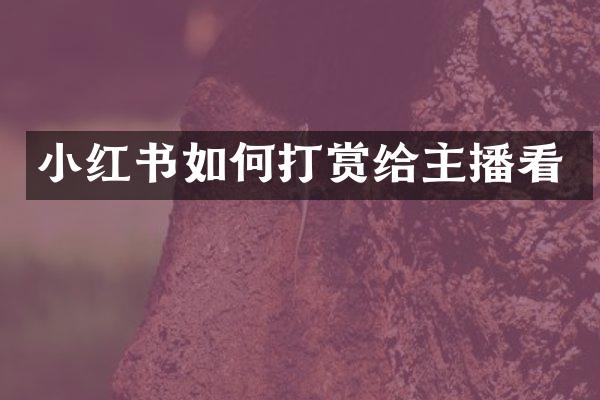 小红书如何打赏给主播看