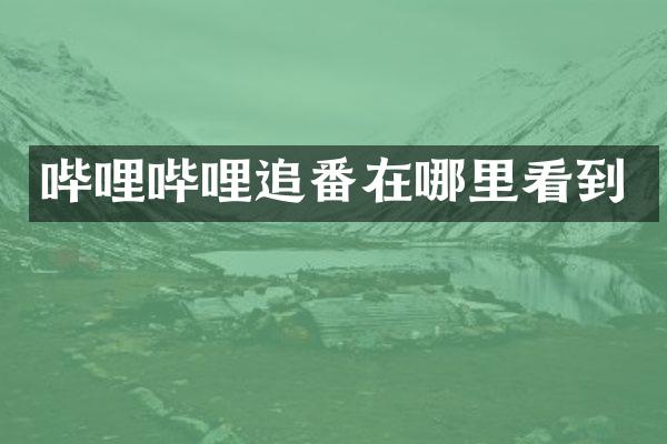 哔哩哔哩追番在哪里看到