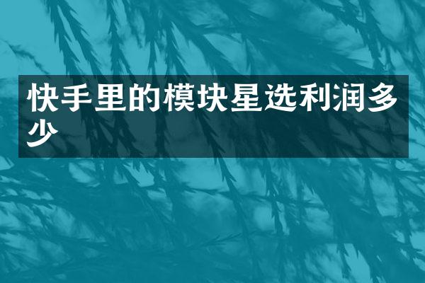 快手里的模块星选利润多少