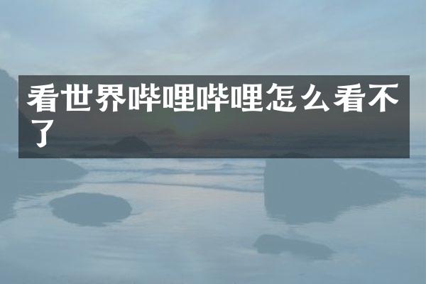 看世界哔哩哔哩怎么看不了