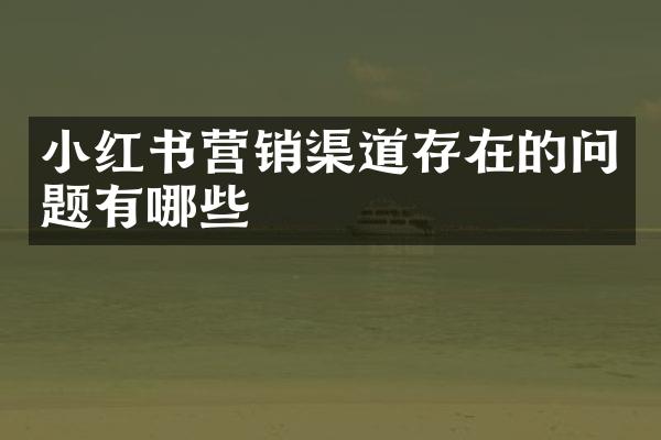 小红书营销渠道存在的问题有哪些