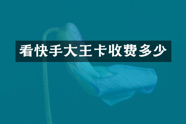 看快手大王卡收费多少