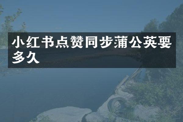 小红书点赞同步蒲公英要多久