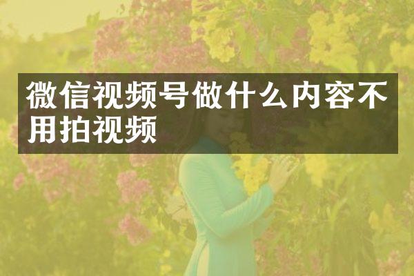 微信视频号做什么内容不用拍视频