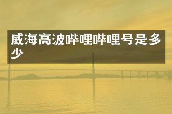 威海高波哔哩哔哩号是多少