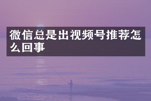 微信总是出视频号推荐怎么回事