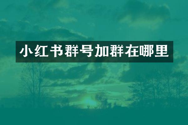 小红书群号加群在哪里