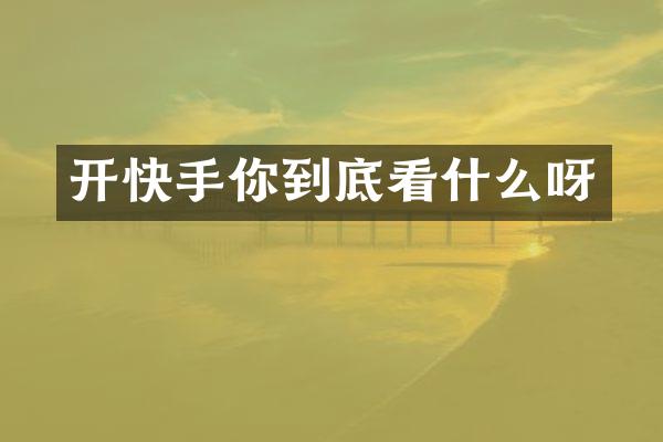 开快手你到底看什么呀
