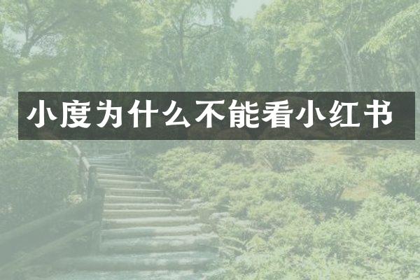 小度为什么不能看小红书