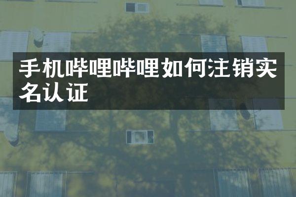 手机哔哩哔哩如何注销实名认证