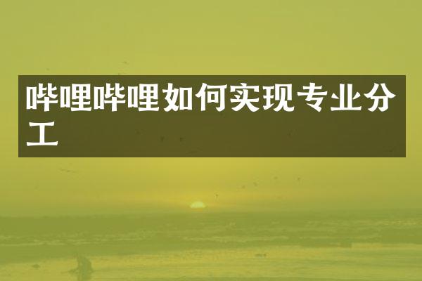 哔哩哔哩如何实现专业分工