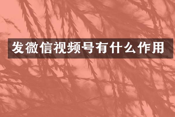 发微信视频号有什么作用