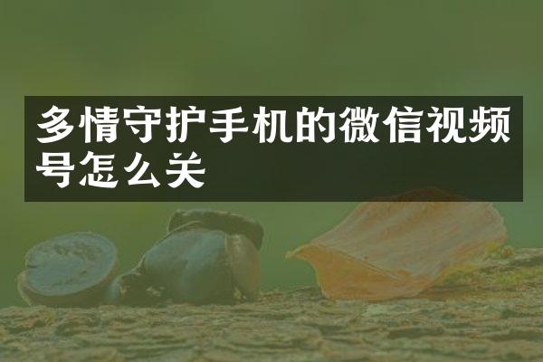 多情守护手机的微信视频号怎么关