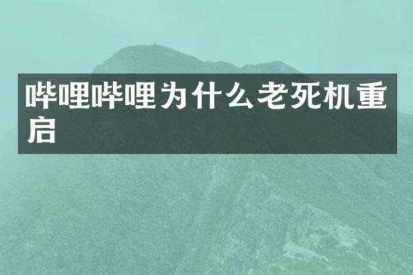 哔哩哔哩为什么老死机重启