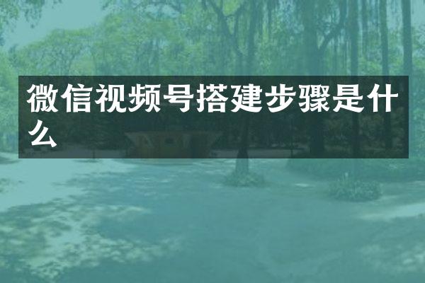 微信视频号搭建步骤是什么