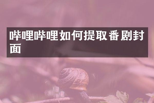 哔哩哔哩如何提取番剧封面