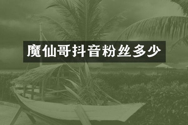 魔仙哥抖音粉丝多少