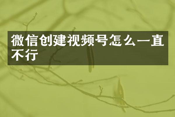 微信创建视频号怎么一直不行