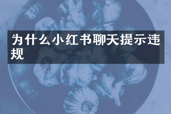为什么小红书聊天提示违规