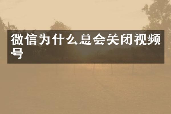 微信为什么总会关闭视频号