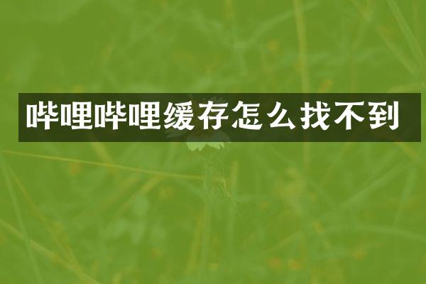 哔哩哔哩缓存怎么找不到