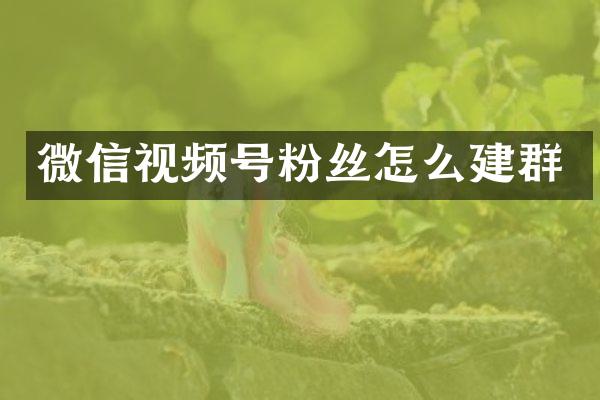 微信视频号粉丝怎么建群