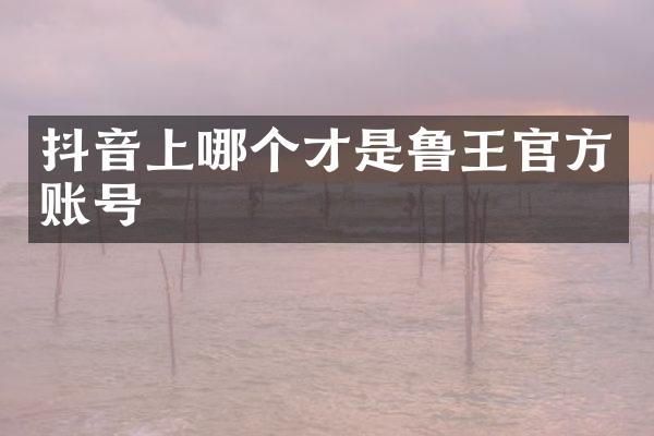 抖音上哪个才是鲁王官方账号