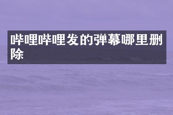 哔哩哔哩发的弹幕哪里删除