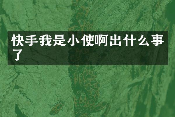 快手我是小使啊出什么事了