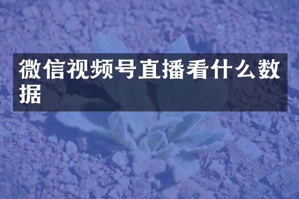 微信视频号直播看什么数据