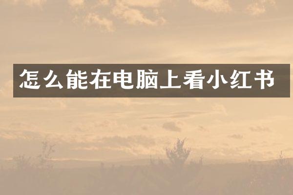 怎么能在电脑上看小红书