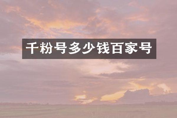 千粉号多少钱百家号
