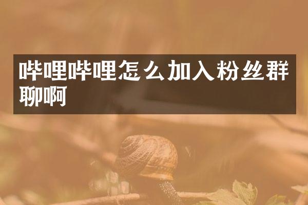 哔哩哔哩怎么加入粉丝群聊啊
