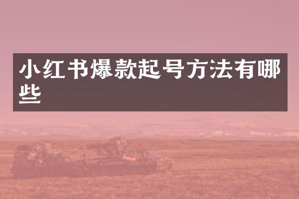 小红书爆款起号方法有哪些