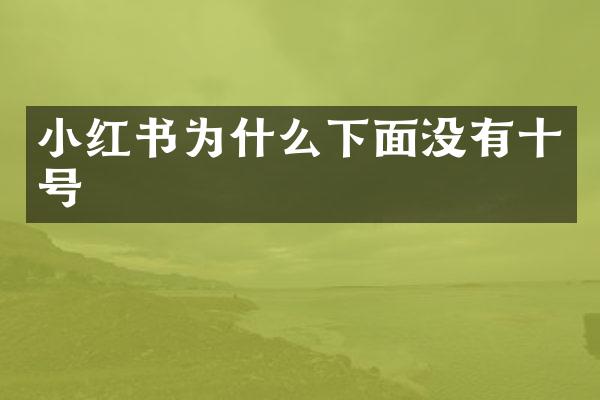 小红书为什么下面没有十号