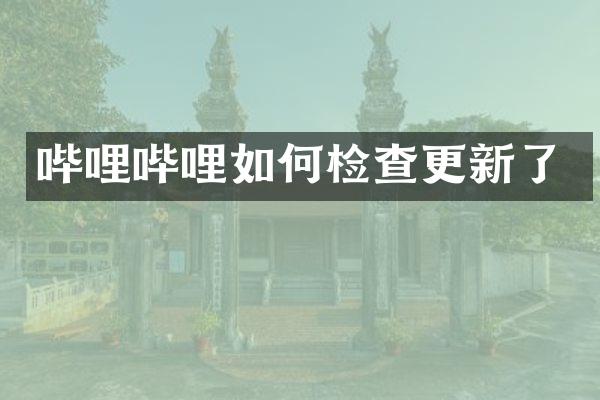哔哩哔哩如何检查更新了