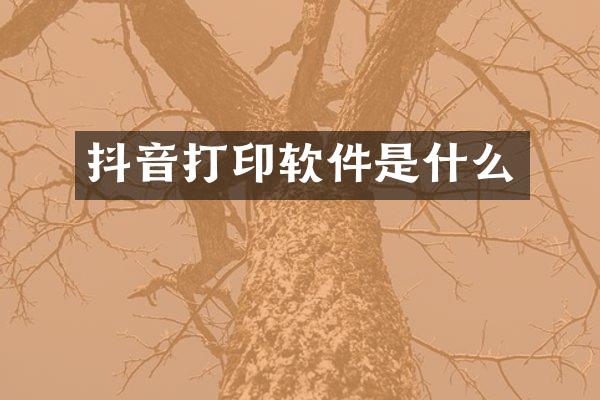 抖音打印软件是什么