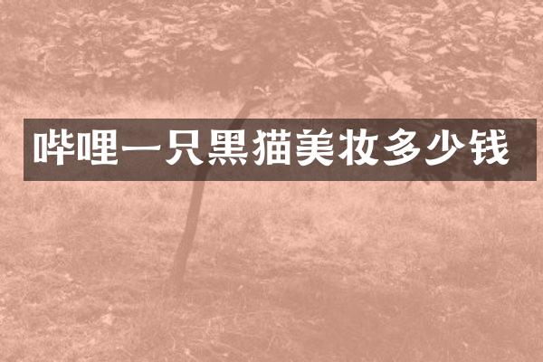 哔哩一只黑猫美妆多少钱