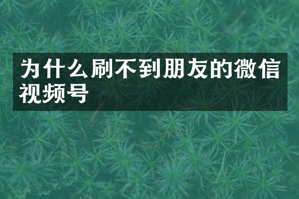 为什么刷不到朋友的微信视频号