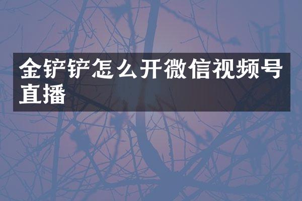 金铲铲怎么开微信视频号直播