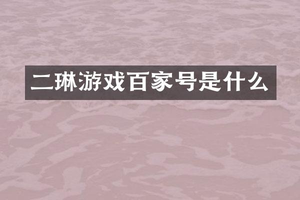 二琳游戏百家号是什么
