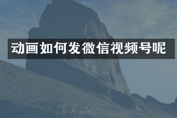 动画如何发微信视频号呢