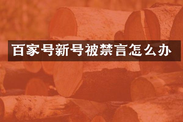 百家号新号被禁言怎么办