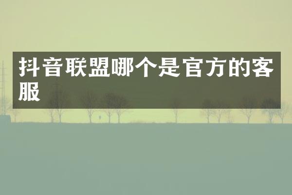 抖音联盟哪个是官方的客服