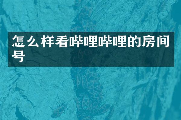 怎么样看哔哩哔哩的房间号